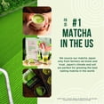 thumbnail image 2 of Jade Leaf Matcha - Traditional Bamboo Whisk (Chasen) + Scoop (Chashaku) - Replacement Tea Set for Frequent Green Tea Powder Preparation - Great Gift for Matcha Lovers, 2 of 6