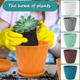 thumbnail image 3 of Keyrank Plant Pots 6 Inch Self Watering Pots, Set of 6 Plastic Planters with Drainage Holes and Saucers, Plastic Flower Pots, Nursery Planting Pot for Indoor Outdoor Plants, 3 of 6