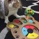 thumbnail image 5 of Create idea Juguetes Interactivos para Perros Gatos Mascotas Cuencos IQ Training P, 5 of 5