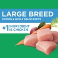 thumbnail image 4 of IAMS Proactive Health Large Breed Dry Dog Food, Adult Dry Dog Food for Large Breeds, Chicken, 30 lb. Bag (Pack of 2), 4 of 10
