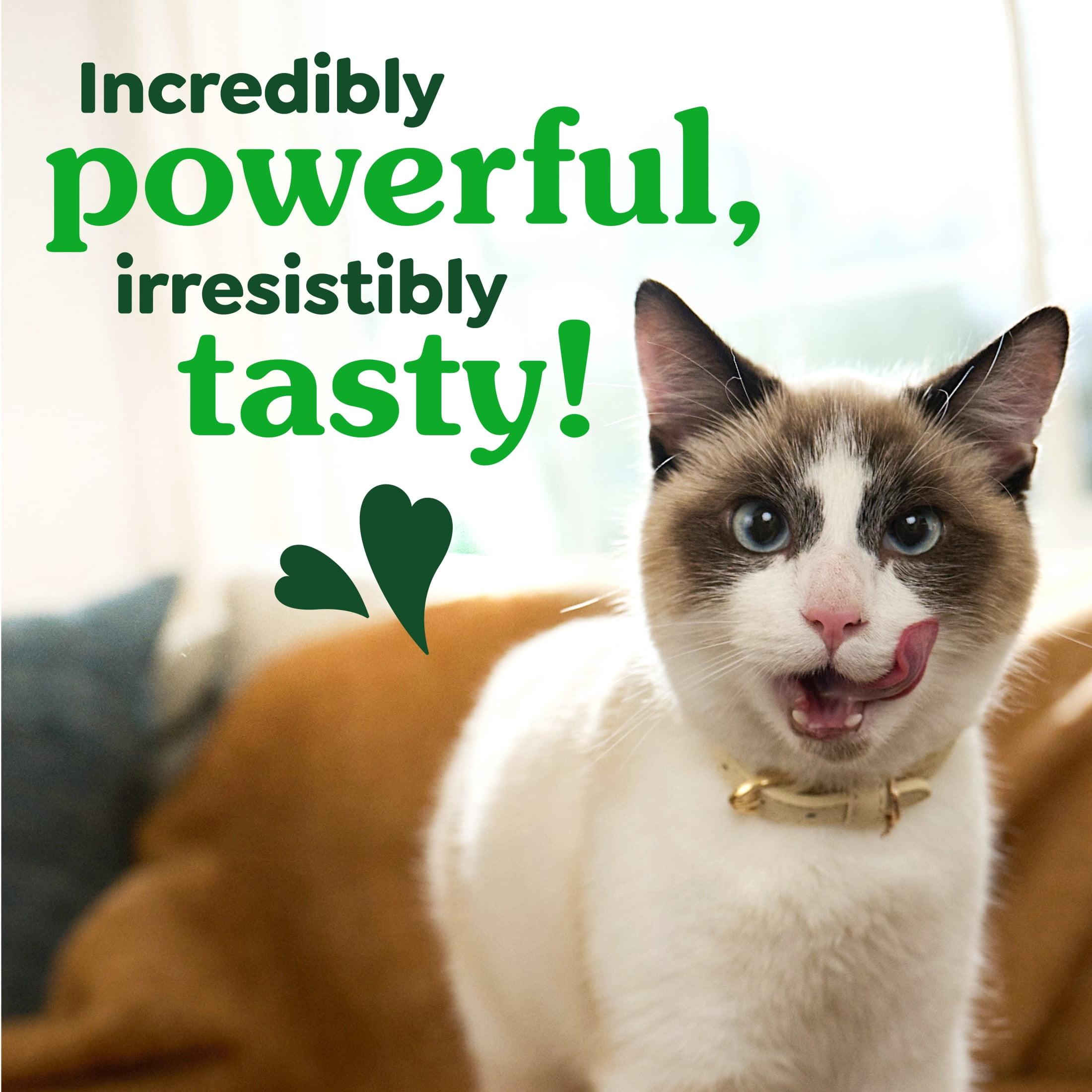 Greenies Feline Veterinarian-Recommended Dental Cat Treats, Oven Roasted Chicken,  21 oz. Tub