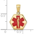 thumbnail image 4 of Solid 10K Yellow Gold Enameled Medical Disk Pendant - 20mm, 4 of 6
