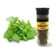 thumbnail image 3 of Pontino Albahaca 20 Gramos 2 Piezas, 3 of 5