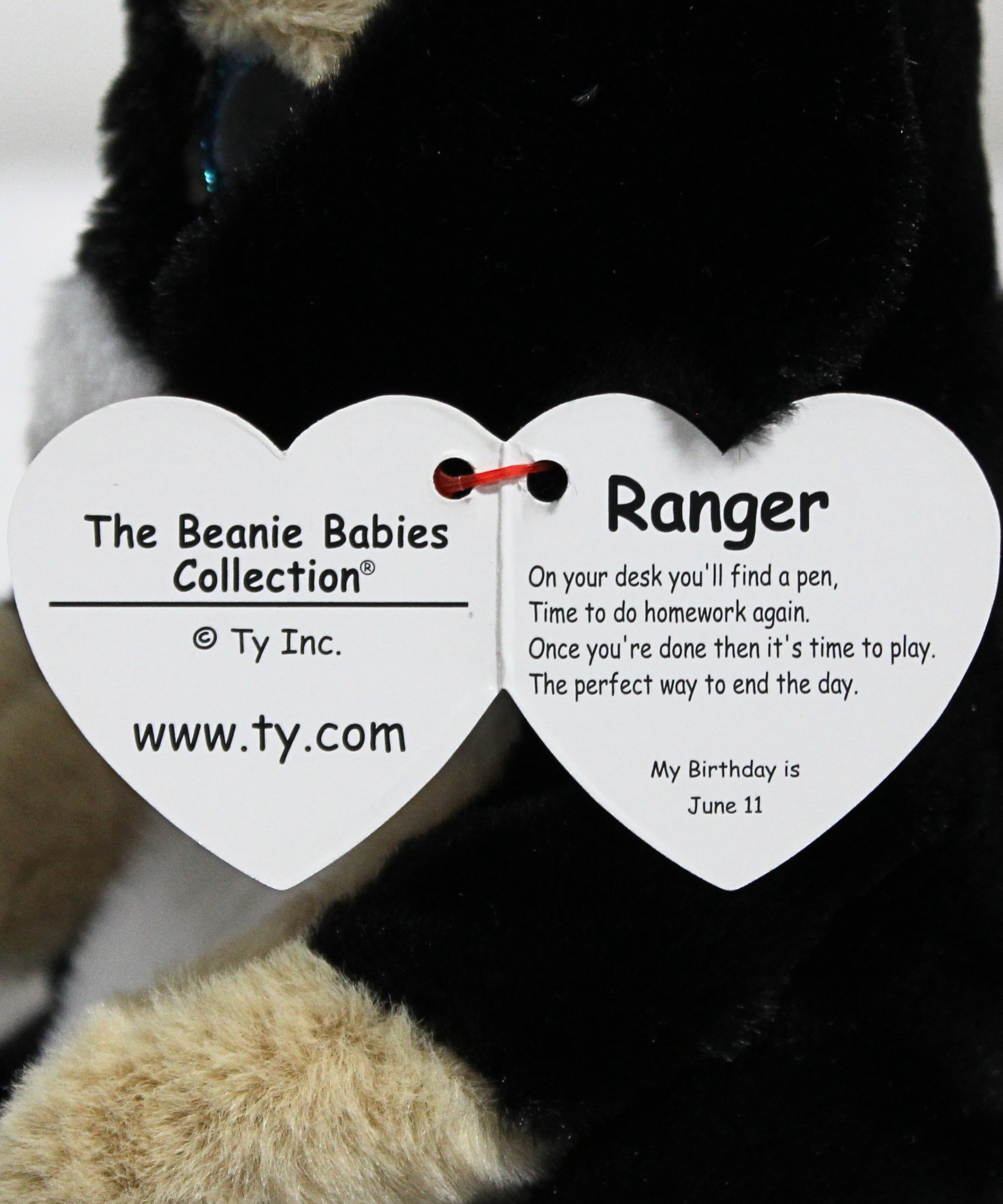 Ty Beanie Baby - Ranger the Dog - Stuffed Animal