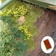 thumbnail image 5 of Simución DIY Racimos en miniatura Mini modelo estático Ferrocarril Jardín Arquitectura Paisaje Materiales de construcción Diorama Paisaje rojo CUTICAT micro hojas de paisaje, 5 of 8