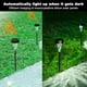 thumbnail image 3 of Luz solar para exteriores, luz decorativa enchufable para el suelo, luz impermeable para césped y jardín, 4 Uds., 3 of 6