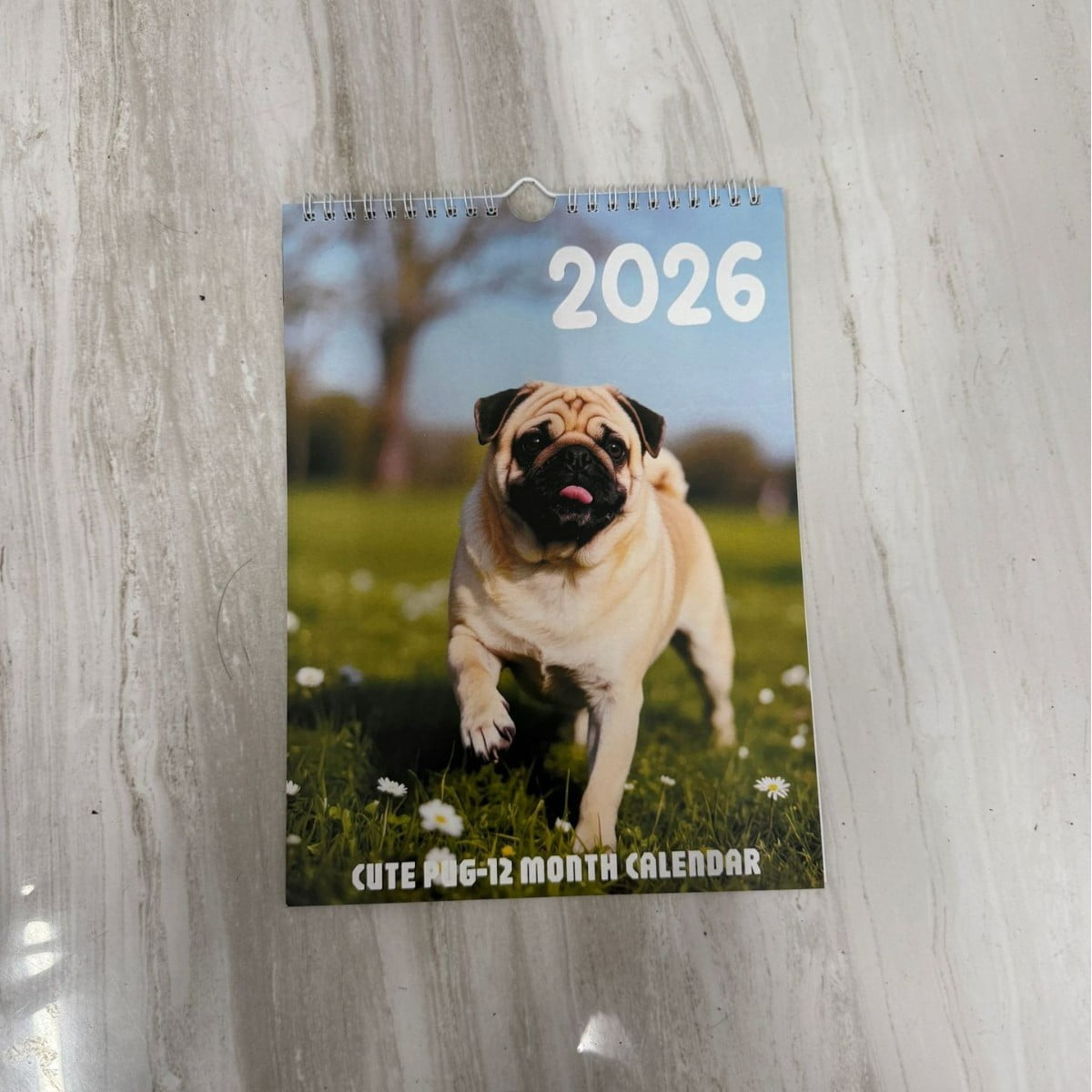Brainybites 2026 Calendar Funny Mini Calendar with Monthly Grids for Appointments and Scheduling - Small Wall Calendar 2026 with Premium Gloss Paper for Home and Office Organization