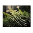 thumbnail image 3 of Designart "A Close Up Photo of Ferns I" Floral Print on Natural Pine Wood, 3 of 5