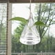 thumbnail image 5 of Jarrón para decoración del hogar y la oficina, maceta de vidrio transparente con gancho para plantas en maceta, terrario colgante de alto rendimiento, 5 of 7