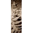 thumbnail image 2 of Blaustein, Alan 9x18 Gold Ornate Wood Framed with Double Matting Museum Art Print Titled - Florison - 80, 2 of 4