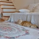 thumbnail image 5 of French Romantic Carpet Floral Large Area Living Room Decoration Carpets Comfortable Soft Bedroom Rugs Rose Flower Rug Tapete IG My Lux Decor Round, 5 of 9
