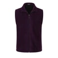 thumbnail image 3 of Blekii Men's Full Zip Fleece Vest, Warm Puffer Sleeveless Jacket Layer, Light Insulation for Outdoor Activities, Casual Chic Layering Piece, Versatile Top for Hiking Or Casual Wear,, 3 of 5
