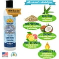 Organic All Natural Oatmeal Dog Shampoo and Conditioner