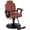 Brown, variant on Baasha Premium Black Reclining Salon Chair with Removable Headrest, All-Purpose Hydraulic Barber Chair, Soft PU Leather, 360° Swivel, 135° Recline, Heavy-Duty Steel Frame, 330 lbs Capacity