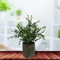 thumbnail image 3 of Artificial Eucalyptus Plants | farmhouse Plants Home Decor | Plant for Office Kitchen Bathroom Bedroom Shelf Living Room Table Decoration, 3 of 8