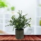 thumbnail image 4 of Plantas artificiales en macetas de imitación de en macetas pequeñas plantas para para Decoración de centro, 4 of 9