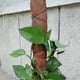 thumbnail image 2 of 5Pcs Landscaping Palm Tree Bark Fake Tree Bark Realistic Artificial Bark, 2 of 4
