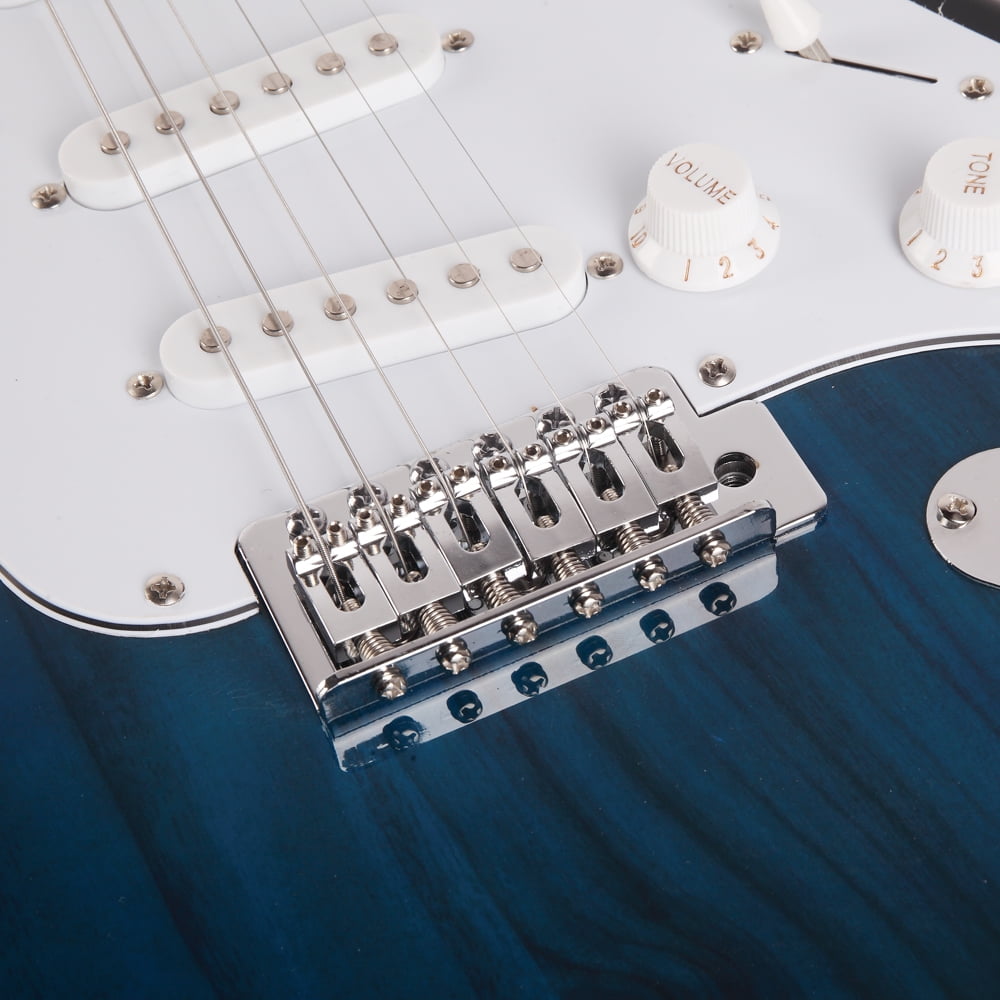 Private Jungle 39" Rosewood Fingerboard Electric Guitar with Gigbag ​Strap Amp Wire Tremolo Arm Cord for Adult Student Beginner,Blue
