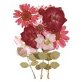 thumbnail image 1 of Fleurs Séchées Pressées DIY Résine Pressée pour Feuilles Sèches Réelles Multicolore, 1 of 6