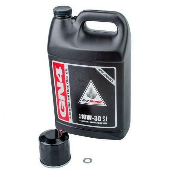 Oil Change Kit With Pro-Honda GN4 10W-30 For Honda