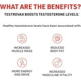 thumbnail image 4 of Novex Biotech Testrovax - Best Testosterone Booster for Men - Vitamins for Men - Test Booster - Increase Testosterone levels in 12 days* - 60 Count, 4 of 7
