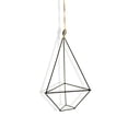 thumbnail image 1 of Air Plant Holder Geometric Hanger Container Living Room Balconies Shelf  Large, 1 of 9