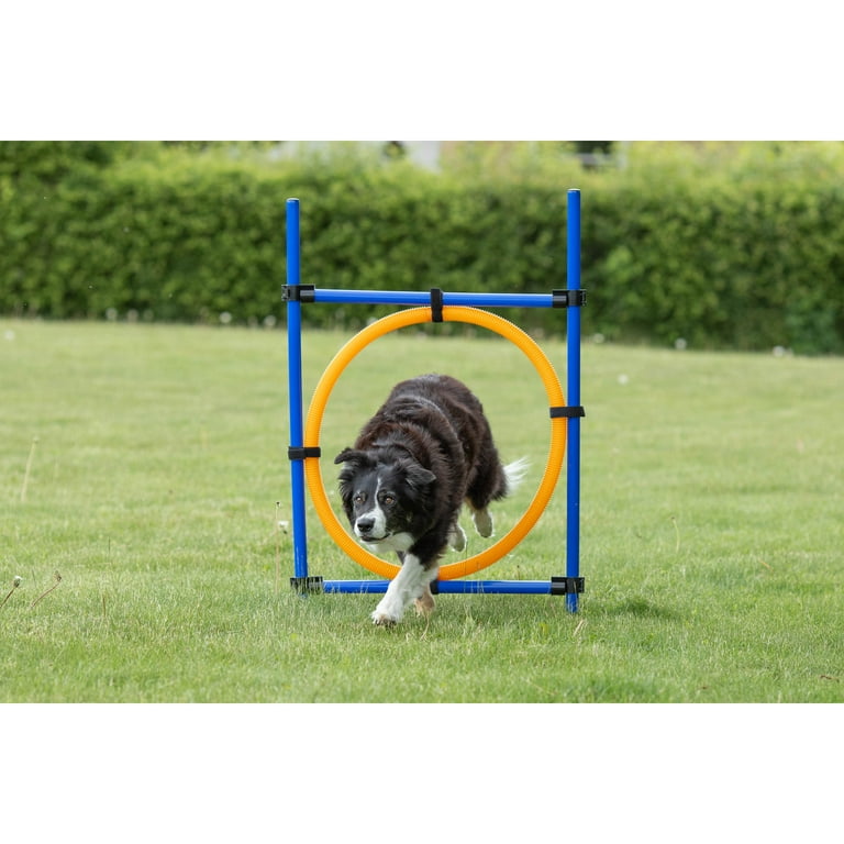 TRIXIE Dog Agility Ring, Portable Dog Hoop, Obstacle Course