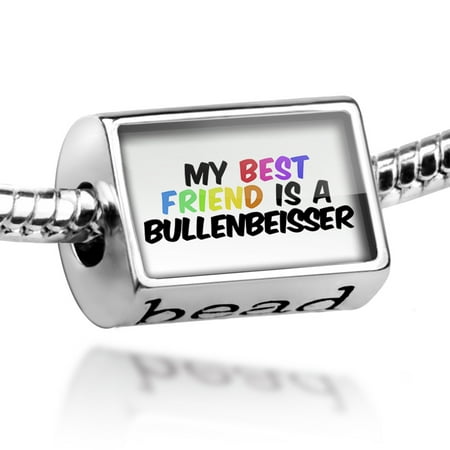 Bead My best Friend a Bullenbeisser Dog from Germany Charm Fits All European