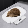 thumbnail image 3 of Fichiouy Digital Pet Scale Small Dog Cat Vet Weight Scale Veterinary Diet Healthy 22lbs, 3 of 6