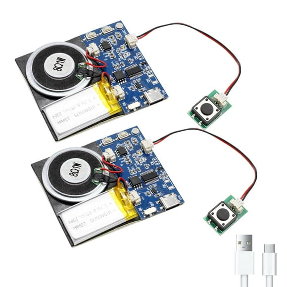 Módulo de audio XLW de 16 MB con altavoz, cable tipo C azul, paquete de 2
