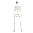 thumbnail image 2 of 5.4FT Halloween Life Size Light-up Skeleton Decor Movable Joints Realistic Full Body Bones Skeleton Prop with Glowing Eyes, 2 of 8