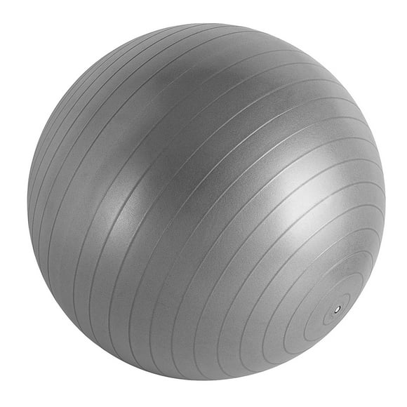 EastVita Ball Yoga Exercice Ball pour Travailler l'Équilibre Anti-Éclatement Ball Chaise Ball pour la Physiothérapie à Domicile Gym Fitness 55cm