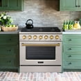 thumbnail image 2 of Akicon 36" Slide-in Freestanding Professional Style Gas Range with 5.2 Cu. Ft. Oven, 6 Burners, Convection Fan, Cast Iron Grates. Stainless Steel & Gold, 2 of 8