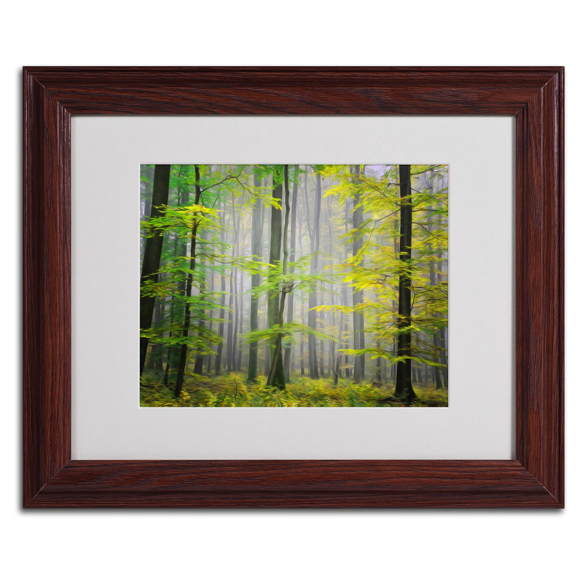 Trademark Fine Art "Sugar Low" Canvas Art by Philippe Sainte-Laudy, Wood Frame