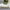 Cream White, variant on 2.5 Seat Velvet Sofa Upholstery, Mid-Century Modern Furniture Couch with Flared Arms, Gold Metal Legs and Plush Cushions, Velvet Sofa for Living Room, Orange-2 Seat