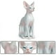 thumbnail image 3 of Paquete de 2 figuras de gato Sphynx, modelo de gato sin pelo de resina, estatua de gato sin pelo Sphynx para decoración del hogar, gris y rosa, 3 of 5
