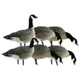 thumbnail image 1 of Avian X Lessers 6 Piece Fusion Pack for Hunting Purposes and Outdoor Sports, 1 of 3