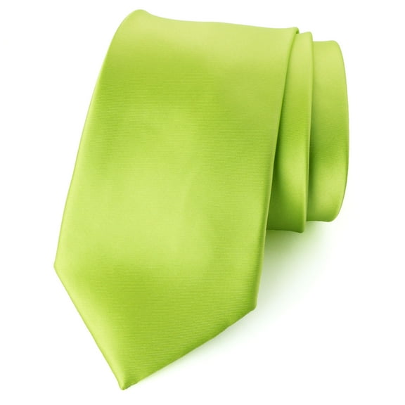 Spring Notion Men's Solid Color Satin Microfiber Tie
