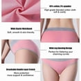 thumbnail image 4 of LKJYER Women's Cotton Underwear Mid Waisted Ladies Panties Soft Breathable Full Coverage Briefs 3 Pack, 4 of 6