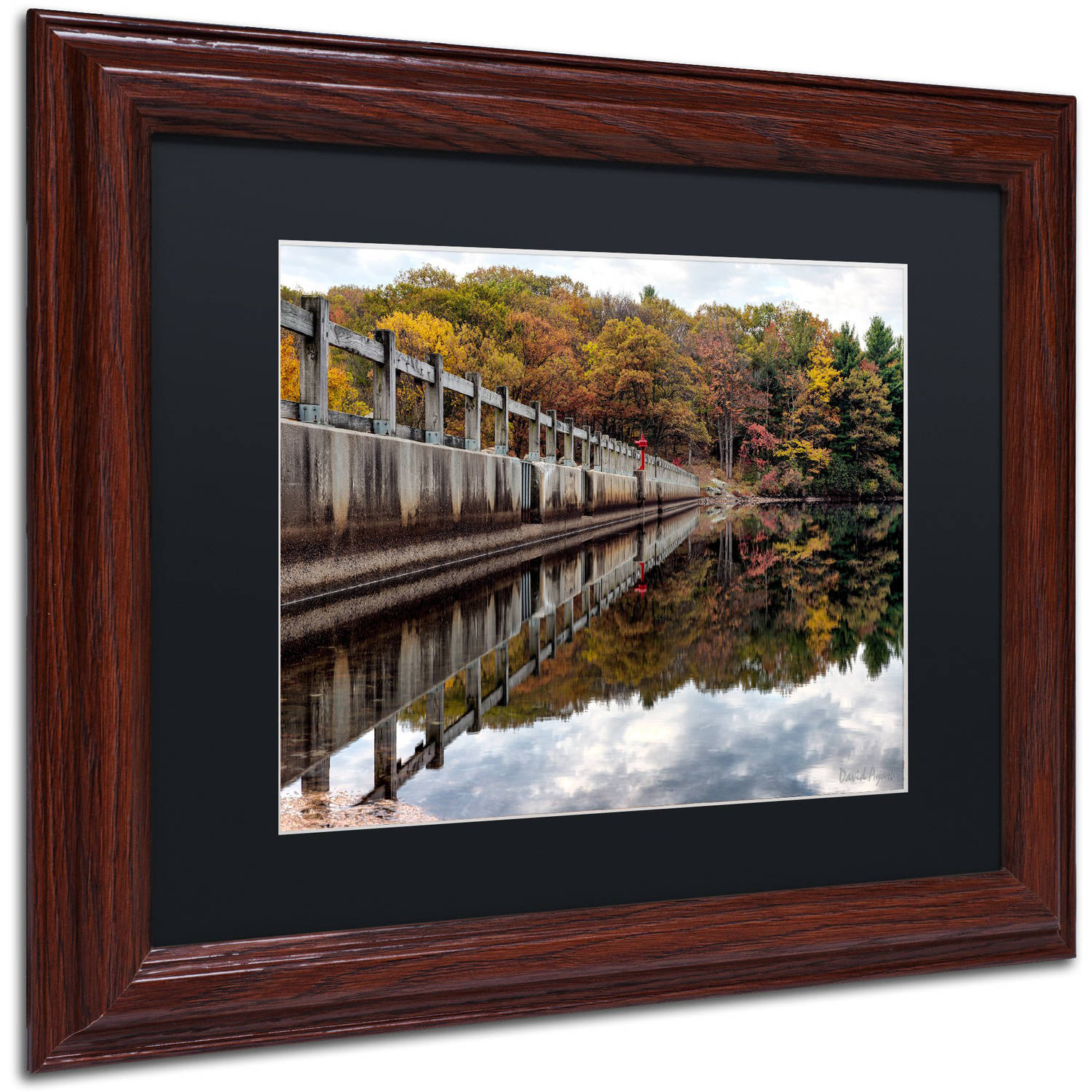 Trademark Fine Art "New York in Fall" Canvas Art by David Ayash Black Matte, Wood Frame