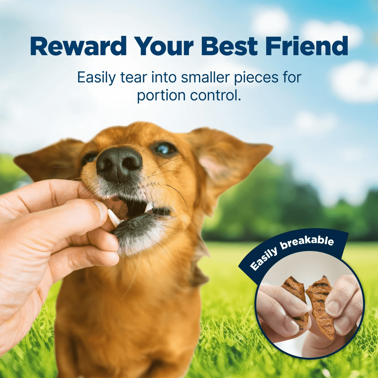 Blue Buffalo Nudges Grillers Natural Dog Treats Made with Real Chicken, 10-oz., BLUE Nudges Grillers Dog Chicken