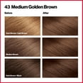 thumbnail image 3 of Revlon Colorsilk Beautiful Color Permanent Hair Dye, Dark Brown, At-Home Full Coverage Application Kit, 43 Medium Golden Brown, 1 count, 3 of 12