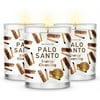 Magnificent 101 PALO Santo Set of 3 Candles