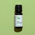 thumbnail image 6 of Plant Therapy Lemongrass Organic Essential Oil 100% Pure, USDA Certified Organic, Undiluted 10 mL (1/3 oz), 6 of 8