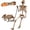 5.4ft Skeleton and 11.81in Dog, variant on Ayieyill 65IN Halloween Skeleton Decorations, Weathered Posable Skeleton Decor for Halloween Decorations Outdoor Indoor
