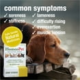 thumbnail image 3 of HomeoPet Joint Stress Joint Health Supplement Solution for Pets, 15-Milliliter Bottle, 3 of 8