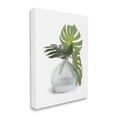 thumbnail image 3 of Stupell Monstera Leaf Sprigs Jar Botanical & Floral Painting Gallery Wrapped Canvas Print Wall Art, 3 of 5
