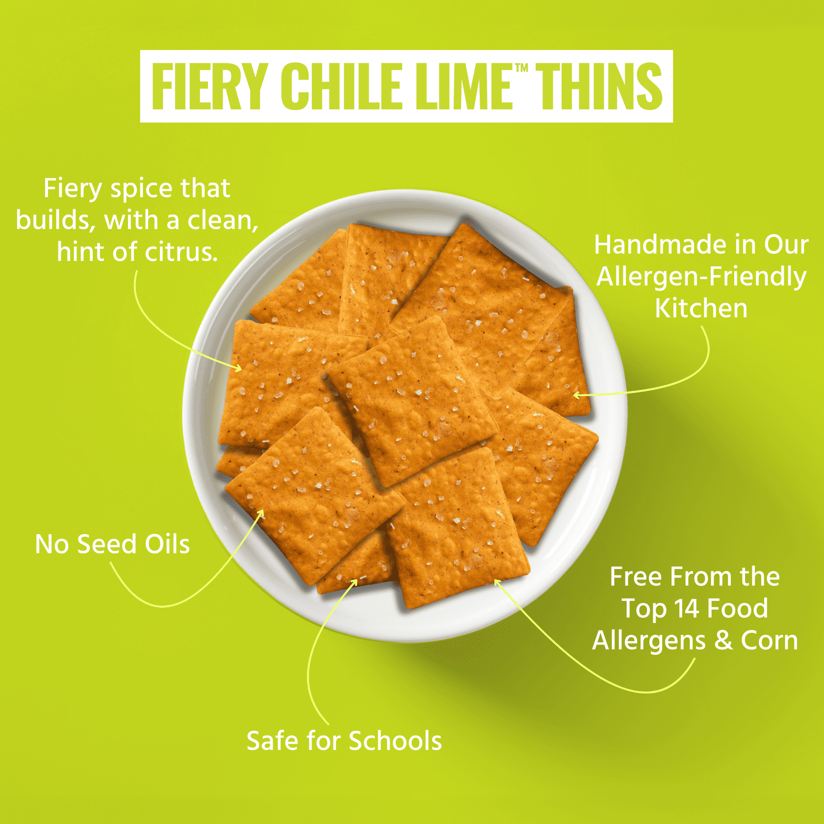 Every Body Eat Snack Thins, Fiery Chile Lime Flavor, Vegan, Gluten Free and Dairy Free (Pack of 2)