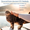 thumbnail image 5 of Rx Vitamins Feline Minerals - Taurine for Cats for Cat Heart Health - Calcium for Cat Joint Supplement - Immune Support for Cats with Magnesium & Potassium - Cat Skin and Coat Supplement - 8oz, 5 of 8