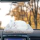 thumbnail image 5 of Adorno de coche para gatos con sonido de miau: desodorizante de carbón activado para vehículos, escritorios y decoración del hogar, 5 of 6